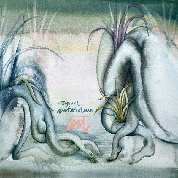 TEAL – Original Watercolour (LP, Spiritual World, 2025) Front Cover