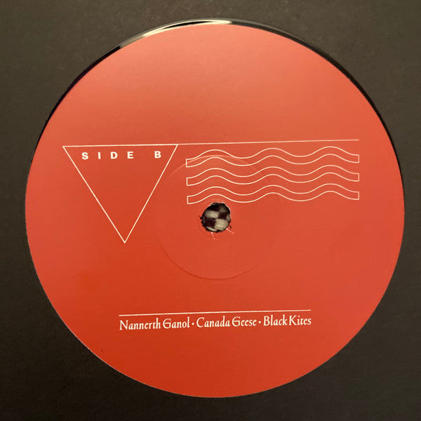 Quade – The Foel Tower (LP, AD 93, 2025) Image 4