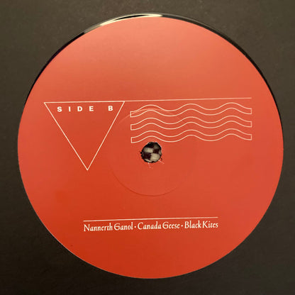 Quade – The Foel Tower (LP, AD 93, 2025) Image 4