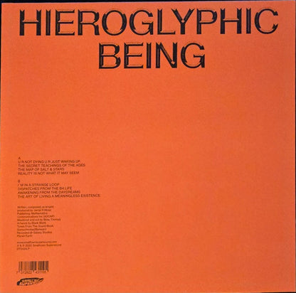 Hieroglyphic Being – Dance Music 4 Bad People (LP, Smalltown Supersound, 2025) Back Cover
