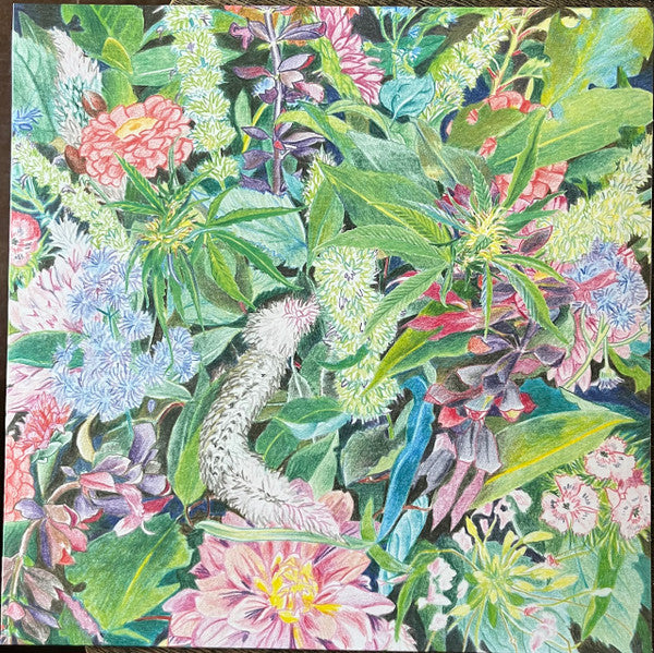 Light-Space Modulator – The Rising Wave (LP, AD 93, 2025) Front Cover