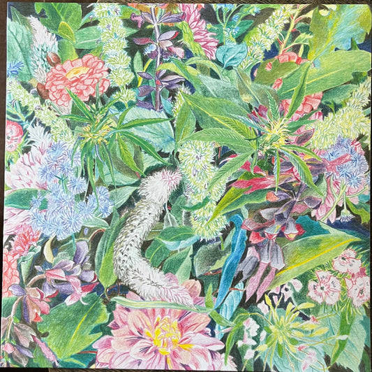 Light-Space Modulator : The Rising Wave (LP, Album)