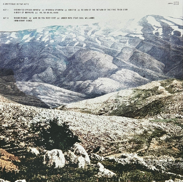 Deerhoof : Noble And Godlike In Ruin (LP, Album, Tes)