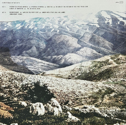 Deerhoof : Noble And Godlike In Ruin (LP, Album, Tes)