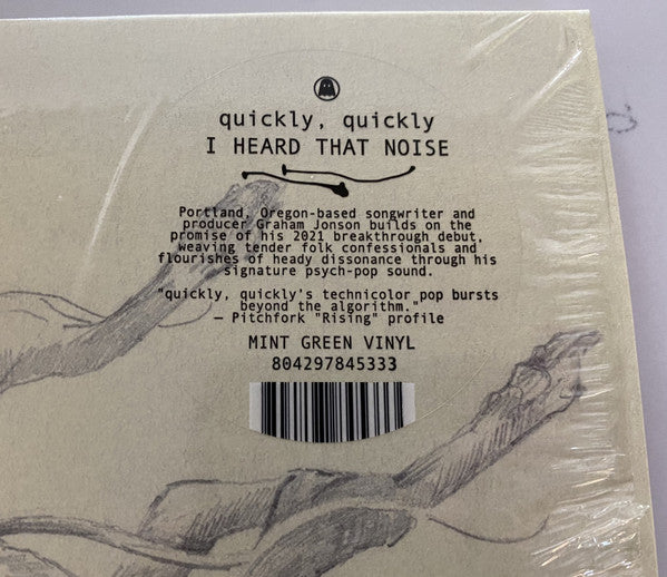 quickly, quickly – I Heard That Noise (LP, Mint Green, Ghostly International, 2025) Back Cover