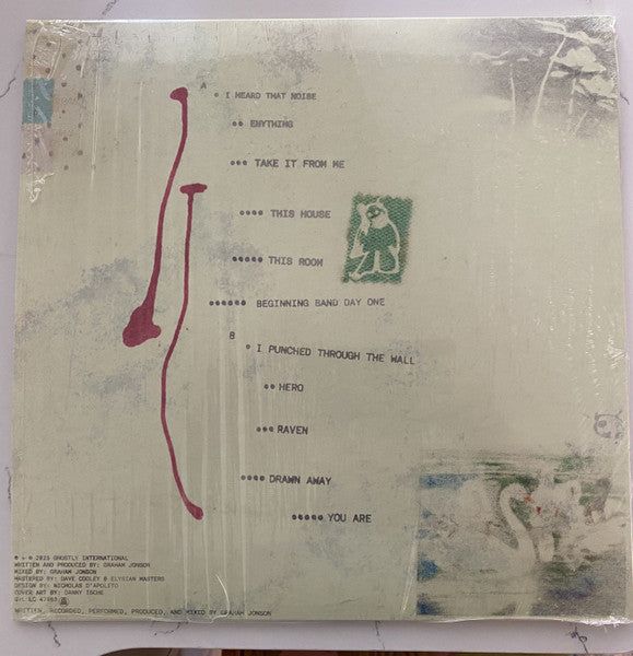 quickly, quickly – I Heard That Noise (LP, Mint Green, Ghostly International, 2025) Image 3