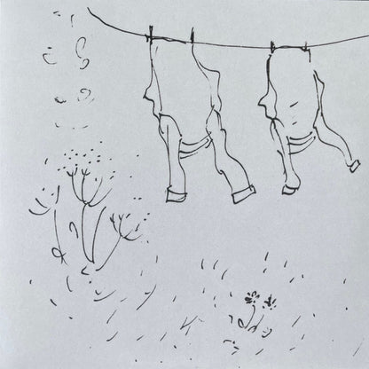 Annie A – The Wind That Had Not Touched Land (LP, A Colourful Storm, 2025) Front Cover