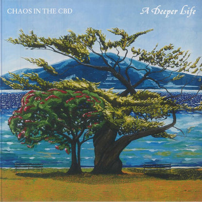 Chaos In The CBD : A Deeper Life (2xLP, Album)
