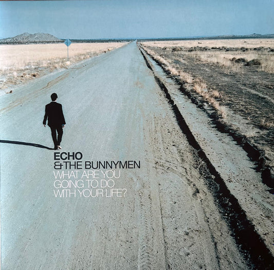 Echo & The Bunnymen : What Are You Going To Do With Your Life? (LP, Album, Ltd, RE, RM, Tur)