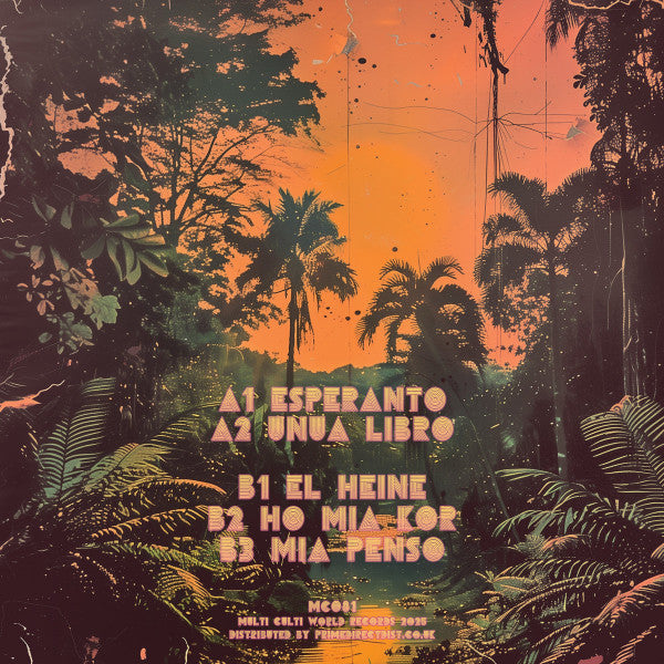 Auntie Flo – Outernational Dance (12", Multi Culti, 2025) Back Cover