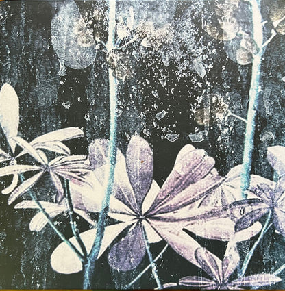 Pan Thorarensen – Ljóstillífun (LP, Obi, Green Translucent, U Know Me Records, 2025) Image 5