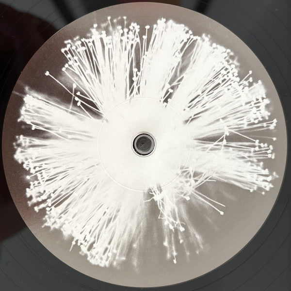 Four Tet – Into Dust (Still Falling) (12", XL Recordings, 2025) Image 3