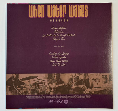 Ankeaux : When Water Wakes (LP, Album, Ltd, Tra)