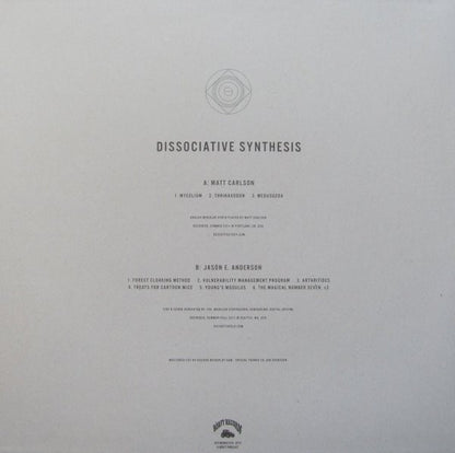 Matt Carlson / Jason E. Anderson : Dissociative Synthesis (LP, Ltd)