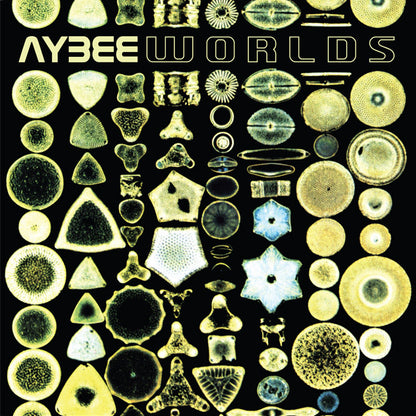 Aybee : Worlds (2x12", Album)