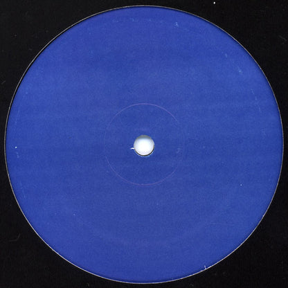 Various : Historical Archives Volume 2 (12", Unofficial)