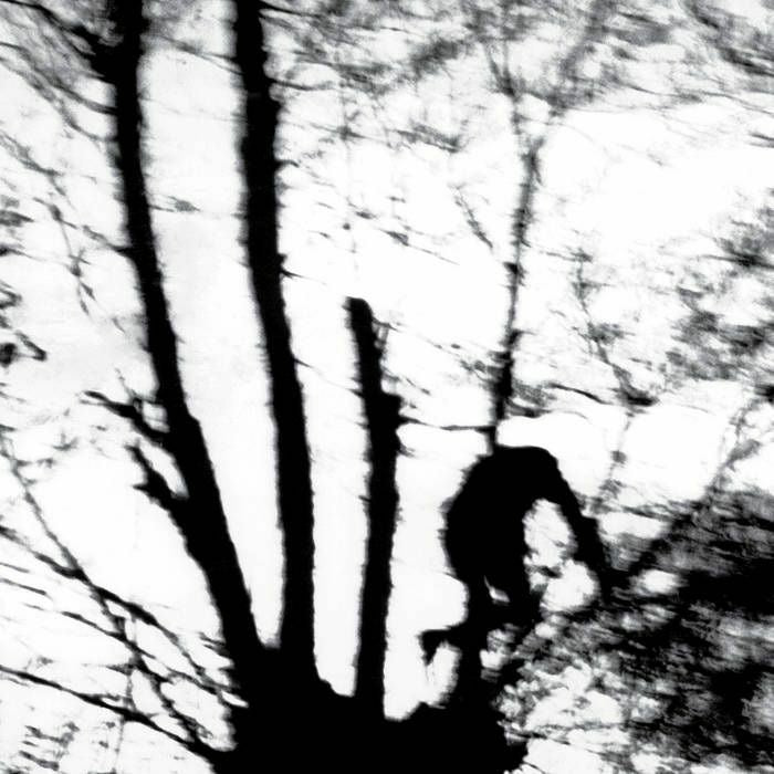 Cindytalk – Camouflage Heart (LP, Dais Records, 2025) Front Cover