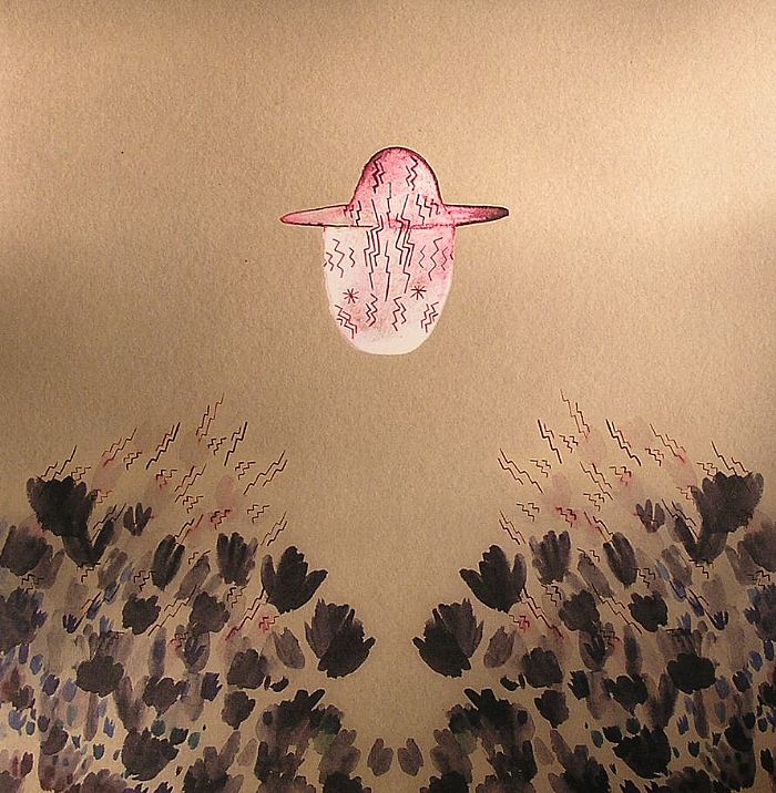 Devendra Banhart - Smokey Rolls Down Thunder Canyon (2xLP)