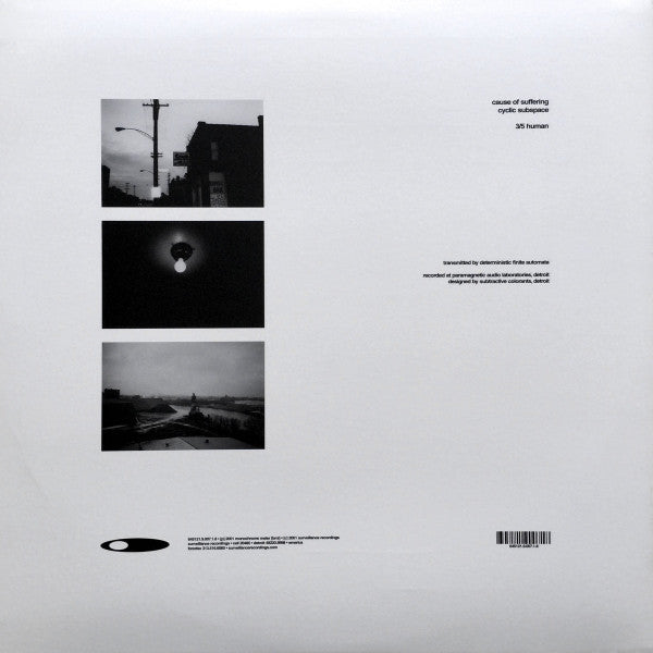 Deterministic Finite Automata : Microstructural Characterization (12", EP)