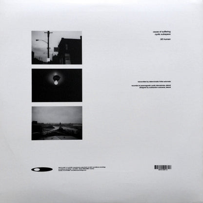 Deterministic Finite Automata : Microstructural Characterization (12", EP)