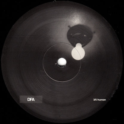 Deterministic Finite Automata : Microstructural Characterization (12", EP)