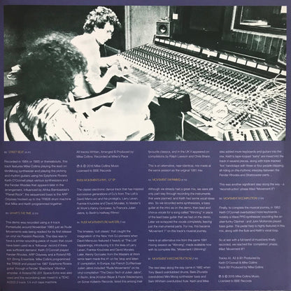 Sun Palace – Raw Movements / Rude Movements (2xLP, BBE, 2016) Back Cover
