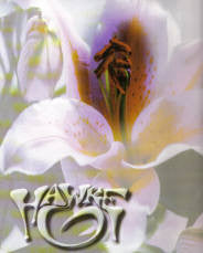 Hawke – Erections From Namaquadisco Volume 2 (10", Hardkiss, 1997) Front Cover