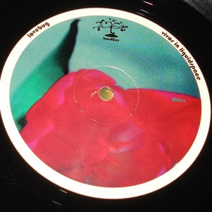 Hawke – Erections From Namaquadisco Volume 2 (10", Hardkiss, 1997) Image 4