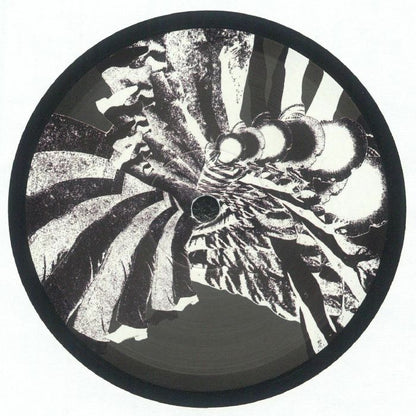 Various - Let's Dance Vol. 6 (12")