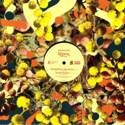 Sampology – Ripen Volume 1 (12", Middle Name Records, 2025) Back Cover