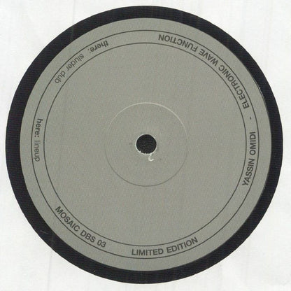 Yassin Omidi - Electronic Wave Function (12")