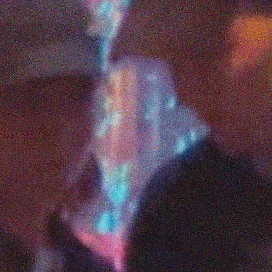 Violeta García & Hora Lunga - I'll Wait For You In The Car Park (LP)