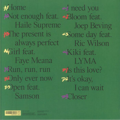 Dam Swindle - Open (2x12")