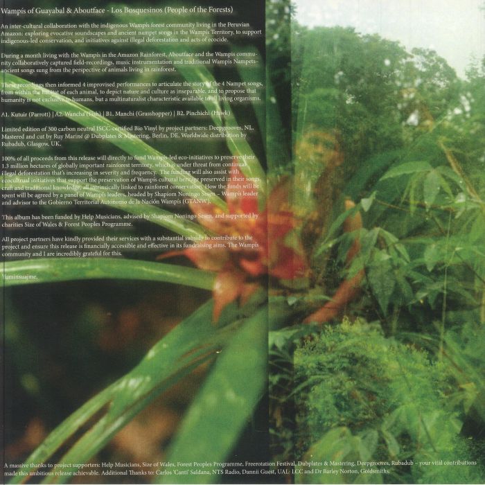 Wampís Of Guayabal AboutFace – Los Bosquesinos (People Of The Forests) (LP, Coordinates, 2025) Back Cover