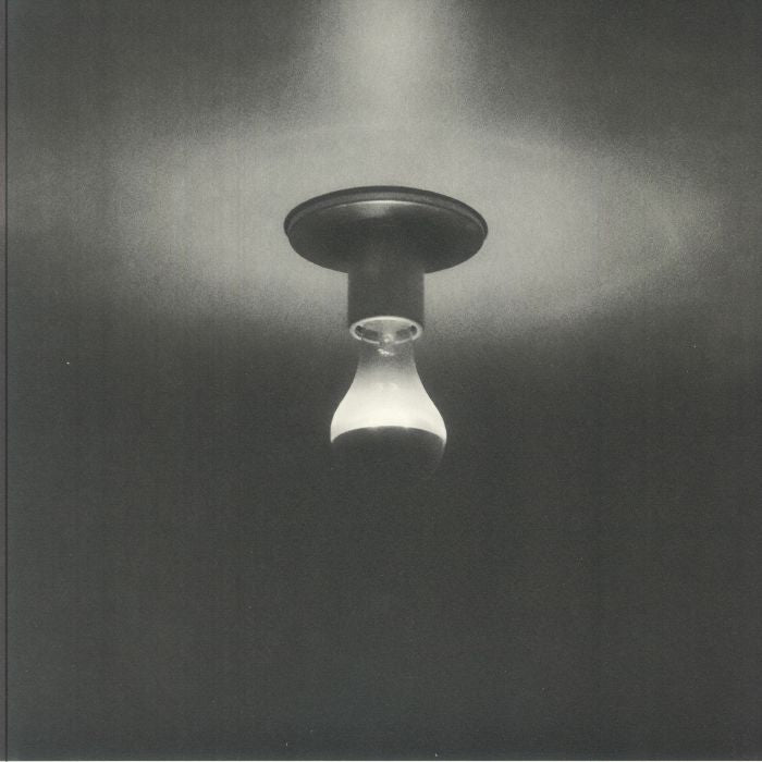 Gabriel Brady - Day-Blind (12") (Clear)