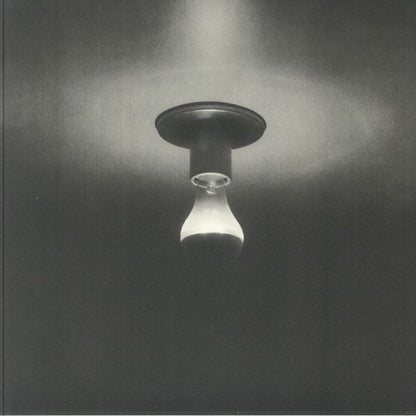 Gabriel Brady - Day-Blind (12") (Clear)