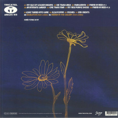 Rémi Klein – Friend In Need (LP, Tricatel, 2025) Back Cover