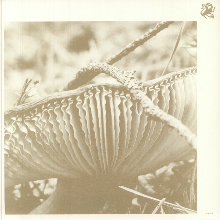 Late Night Poems – Rise & Bloom (LP, U Jazz Me, 2025) Front Cover