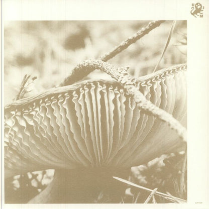 Late Night Poems – Rise & Bloom (LP, U Jazz Me, 2025) Front Cover