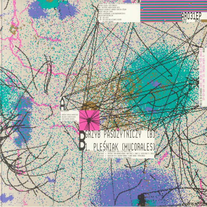 Błoto – Grzyby (12", Astigmatic Records, 2025) Back Cover