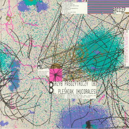 Błoto – Grzyby (12", Astigmatic Records, 2025) Back Cover