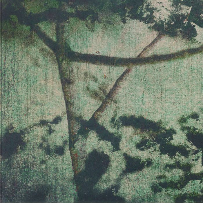 gyrofield – Suspension Of Belief (12", Kapsela, 2025) Front Cover