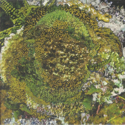 Kinzua – Never Fret, Never Fail (12", CINTH, 2026) Front Cover