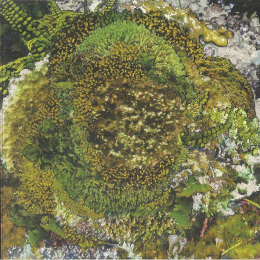 Kinzua – Never Fret, Never Fail (12", CINTH, 2026) Front Cover