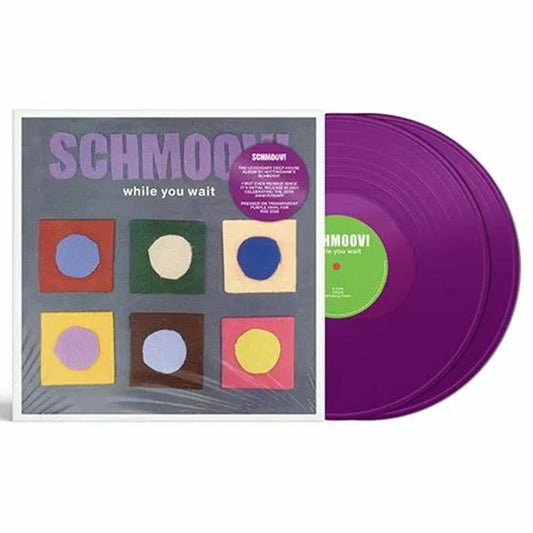 Schmoov! – While You Wait (2xLP, Purple, Winding Road Records, 2026) Front Cover