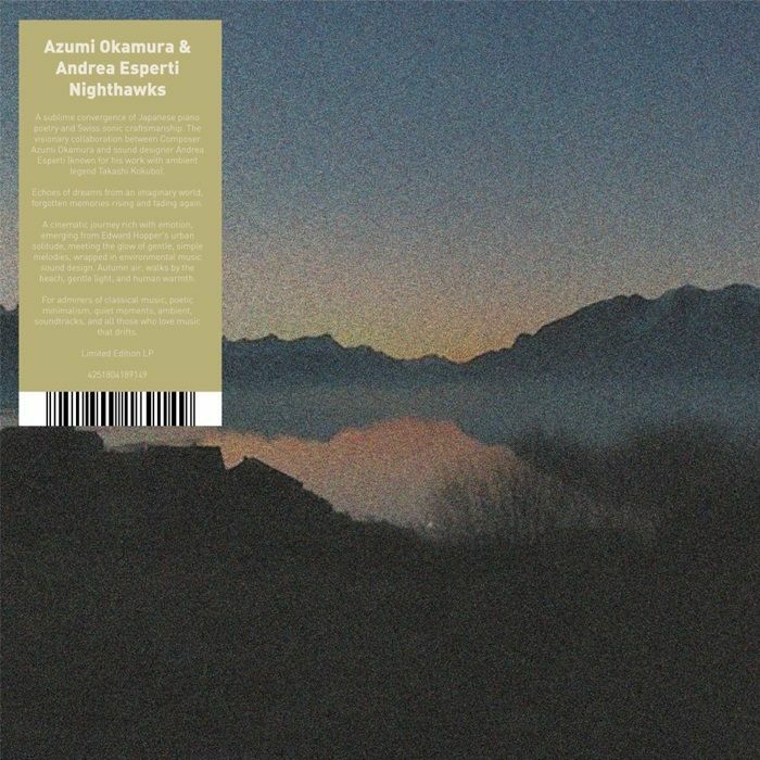 Azumi Okamura & Andrea Esperti – Nighthawks (LP, We Release Whatever The Fuck We Want Records, 2026) Front Cover