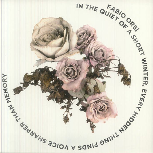 Fabio Orsi – In The Quiet Of A Short Winter, Every Hidden Thing Finds A Voice Sharper Than Memory (LP, White, 13, 2026) Front Cover