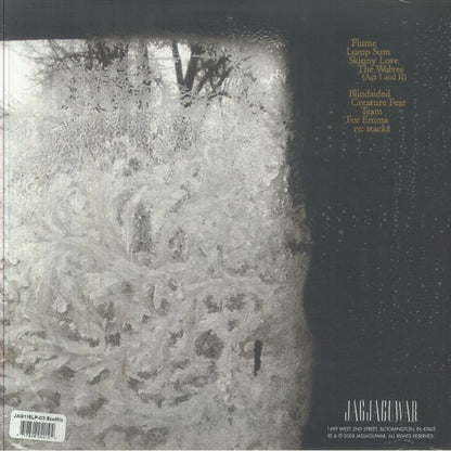 Bon Iver – For Emma, Forever Ago (Revinyl Edition) (LP, ReVINYL Edition) | (Random, Jagjaguwar, 2026) Back Cover