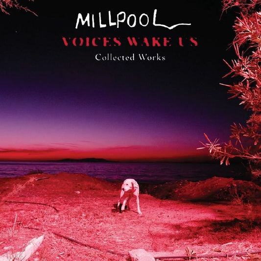 Millpool – Voices Wake Us (LP, XVI, 2026) Front Cover