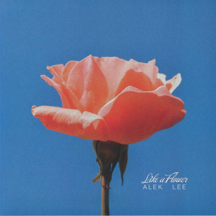 Alek Lee – Like A Flower (LP, Milky Pink Splatter, Antinote, 2026) Front Cover